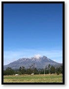 Colombia Catuai Washed