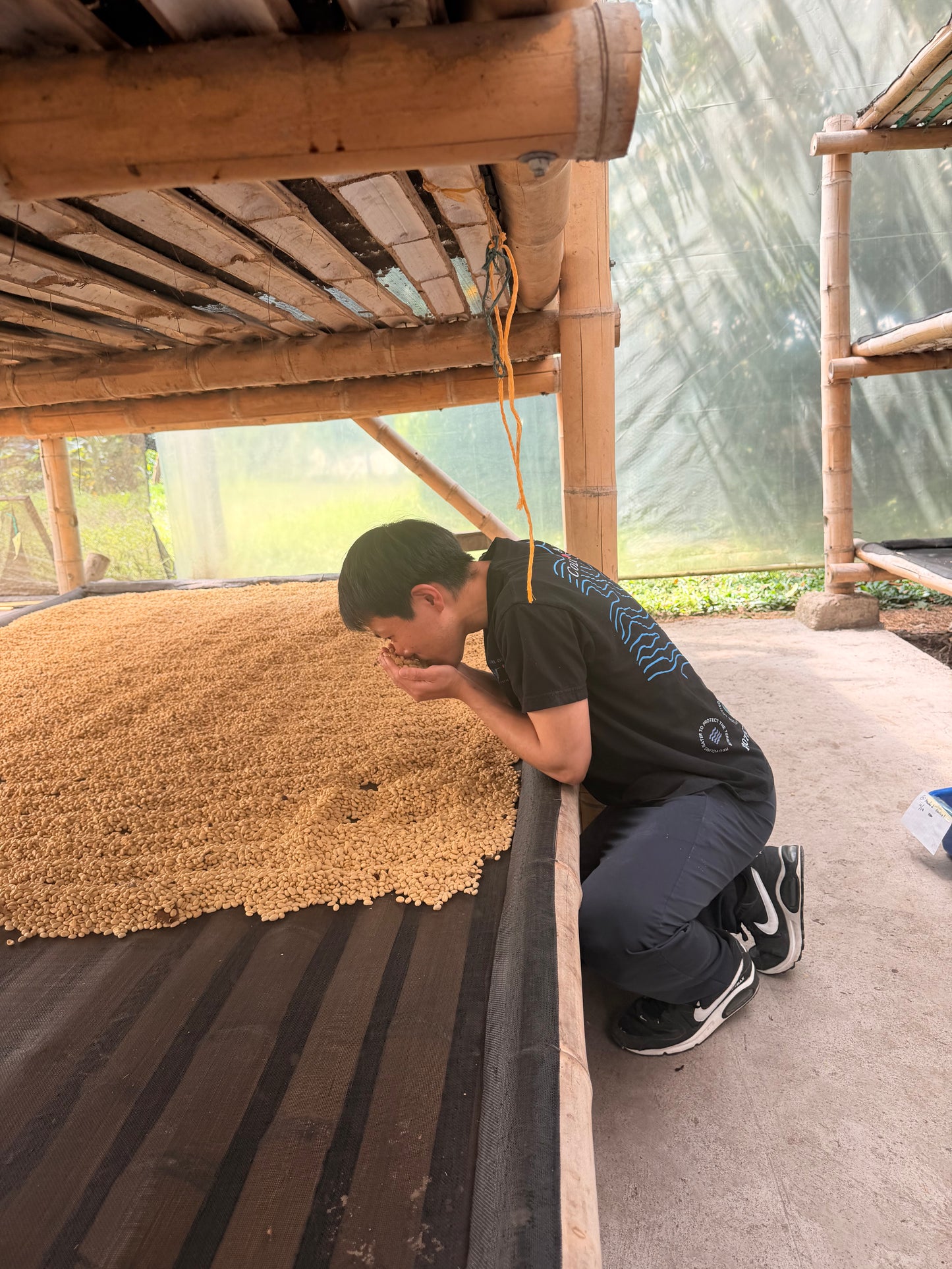 Colombia La Natura Wush Wush Cereza Honey