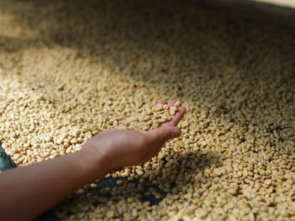 Costa Rica Los Angeles Yellow Honey