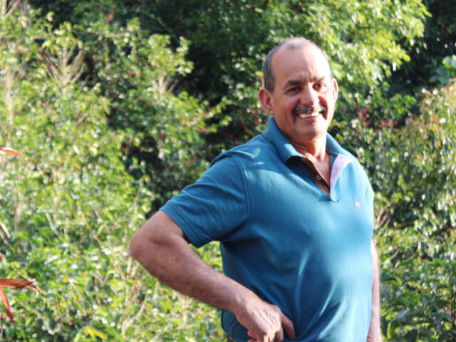 Costa Rica Los Angeles Yellow Honey