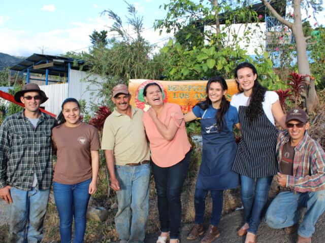 Costa Rica Los Angeles Yellow Honey