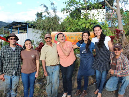 Costa Rica Los Angeles Yellow Honey