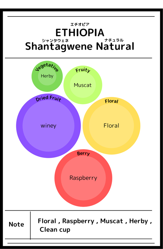 Ethiopia Shantawene Natural