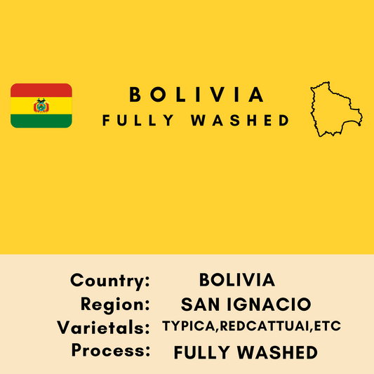 Bolivia Fully Washed