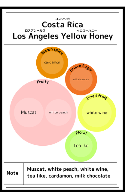 Costa Rica Los Angeles Yellow Honey