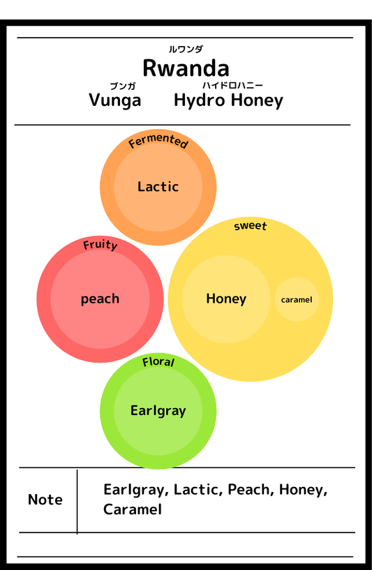 Rwanda Vunga　Hydro Honey