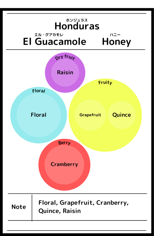 Honduras El Guacamole Honey