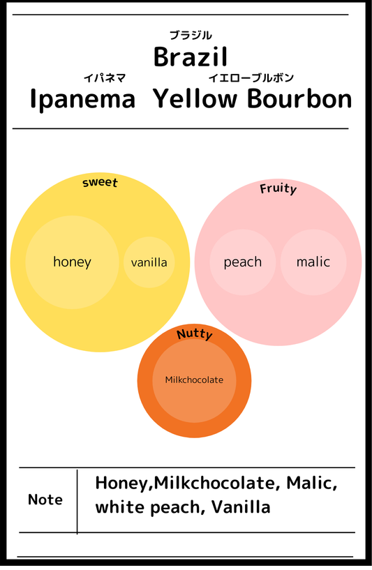 Brazil Ipanema Yellow Bourbon