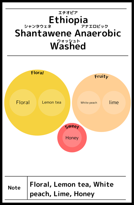 Ethiopia Shantawene Anaerobic Washed