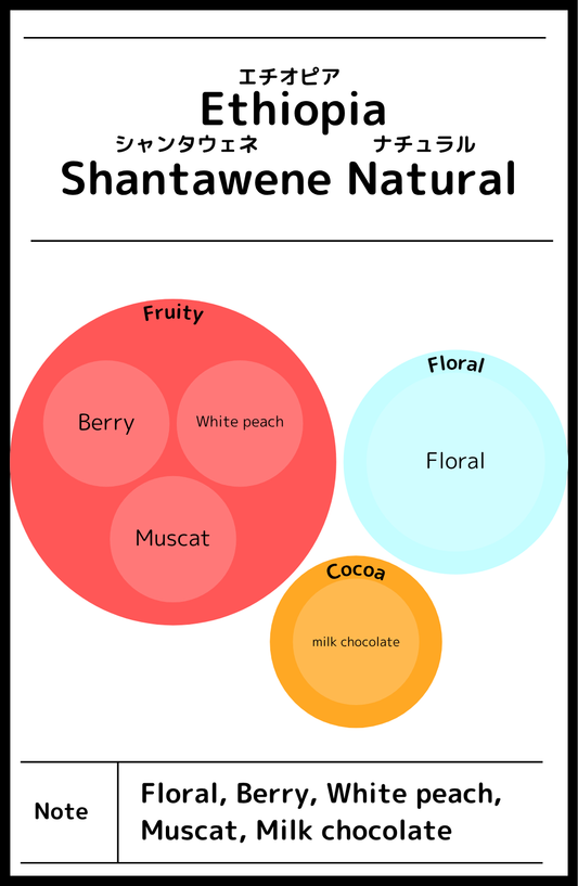 Ethiopia Shantawene Natural