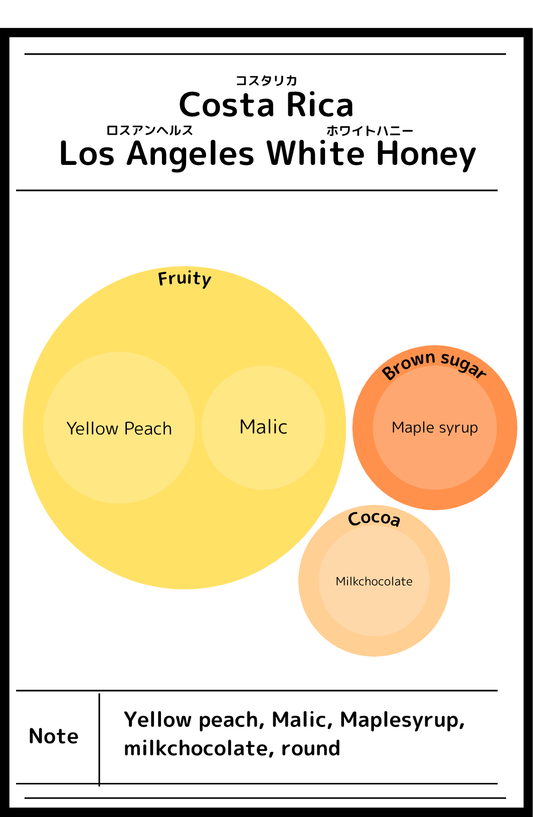 Costa Rica Los Angeles  Catuai White Honey