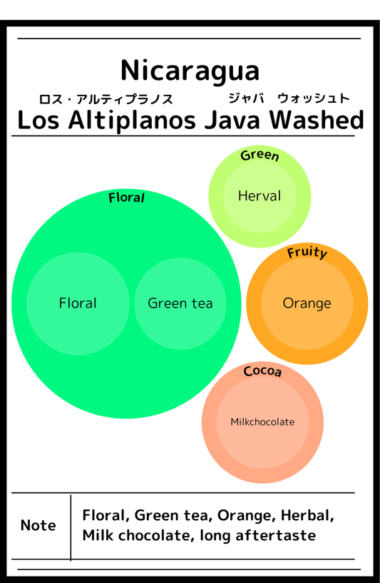 Nicaragua  Finca Los Altiplanos Java Washed