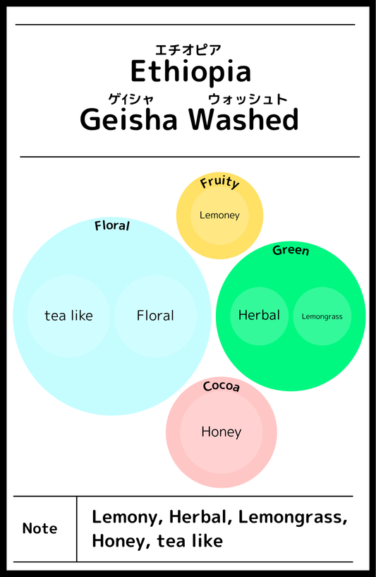 Ethiopia Benchi Maji Gesha Wased