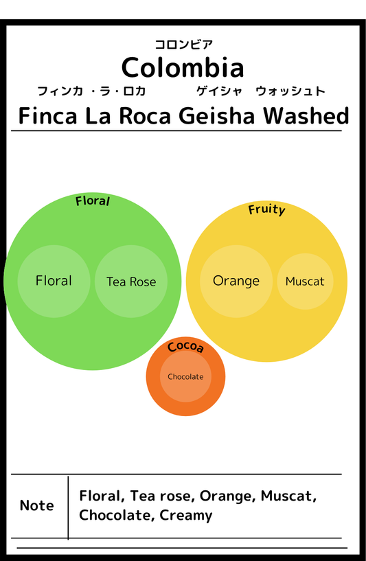 Colombia Finaca La Roca Geisha Washed