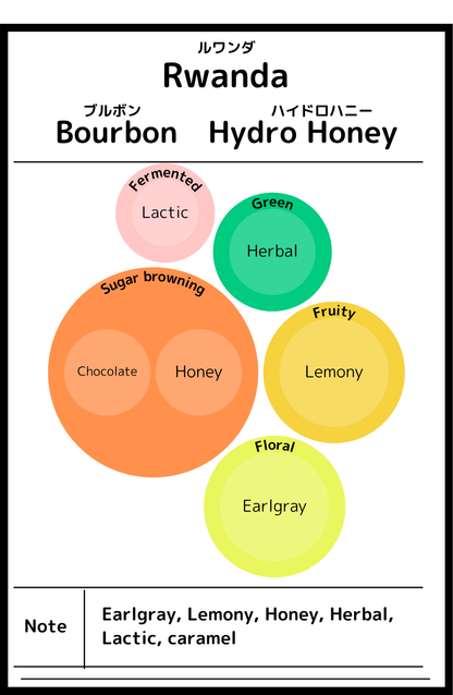 Rwanda  Bourbon Hydro Honey