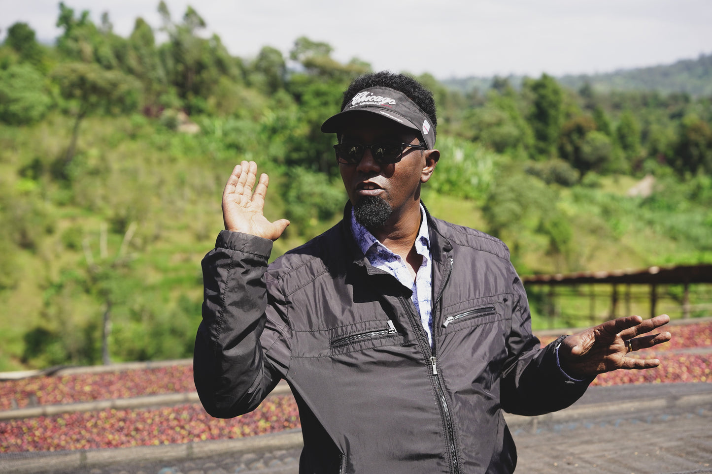 Ethiopia Dimtu Natural