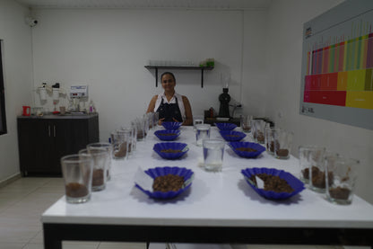 Colombia  Juan Carlos Geisha Washed